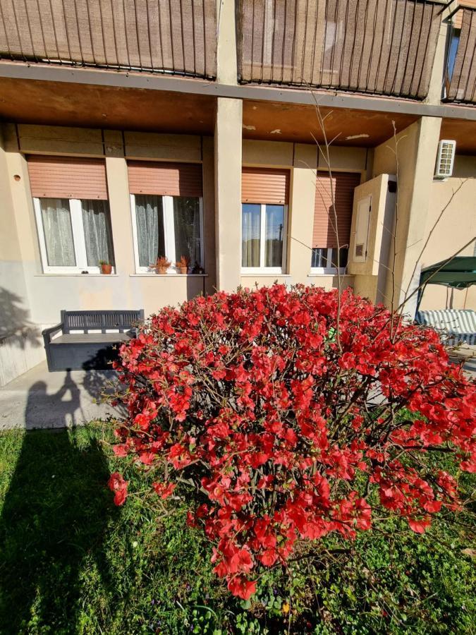 Alloggio Silva Gorizia Exteriör bild